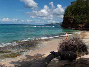dr grooms beach